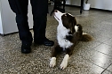 Besuch bei der Nordh&auml;user Hundestaffel (Foto: agl)