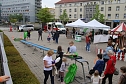 KNAX-Kinderfest der Kreissparkasse (Foto: agl)