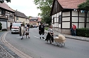 Festumzug in Petersdorf (Foto: Peter Blei)