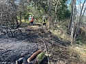 Feuer in der Goldenen Aue (Foto: Die am Einsatz beteiligten Feuerwehren)