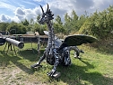 Drachen-Alarm am Sundh&auml;user Kiesteich (Foto: S.Dietzel)