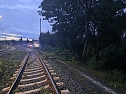 Bahn kollidiert mit &Auml;sten (Foto: S. Dietzel)