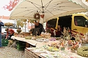 Kürbismarkt in Nordhausen (Foto: agl) Kürbismarkt in Nordhausen (Foto: agl)
