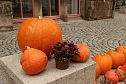 Kürbismarkt in Nordhausen (Foto: agl) Kürbismarkt in Nordhausen (Foto: agl)