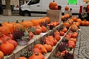 Kürbismarkt in Nordhausen (Foto: agl) Kürbismarkt in Nordhausen (Foto: agl)