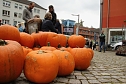 Kürbismarkt in Nordhausen (Foto: agl) Kürbismarkt in Nordhausen (Foto: agl)