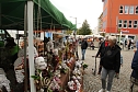 Kürbismarkt in Nordhausen (Foto: agl) Kürbismarkt in Nordhausen (Foto: agl)