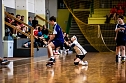Handballfest in der Ballspielhalle (Foto: Christoph Keil)