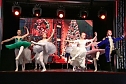Getanzte Weihnachtsm&auml;rchen des Tanzstudio Radeva (Foto: Dimitar Radev)