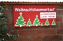 Weihnachtsbäume zum Advent in Kelbra (Foto: Ulrich Reinboth) Weihnachtsbäume zum Advent in Kelbra (Foto: Ulrich Reinboth)