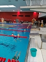 Zwei Wettkämpfe für die Nordhäuser Schwimmer - in Leinefelde und Kassel wurde die Saison eingeläutet (Foto: SVN 90) Zwei Wettkämpfe für die Nordhäuser Schwimmer - in Leinefelde und Kassel wurde die Saison eingeläutet (Foto: SVN 90)