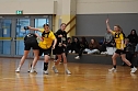 Handball-Wochenende: Ausgezeichnete Bilanz (Foto: NSV) Handball-Wochenende: Ausgezeichnete Bilanz (Foto: NSV)