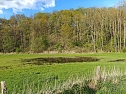Sturmsch&auml;den,viel Wasser und sehr gute Fernsicht am ehemaligen Wald bei Urbach (Foto: Peter Blei)