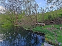 Sturmsch&auml;den,viel Wasser und sehr gute Fernsicht am ehemaligen Wald bei Urbach (Foto: Peter Blei)