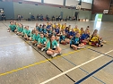 Handball-Ergebnisdienst (Foto: NSV)