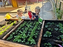 Am neuen Hochbeet können auch kleine Gärtner gut arbeiten (Foto: Kindergarten Tierhäuschen) Am neuen Hochbeet können auch kleine Gärtner gut arbeiten (Foto: Kindergarten Tierhäuschen)