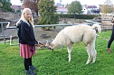 Unterwegs mit den Unstrut Lamas aus Herbsleben (Foto: Eva Maria Wiegand)