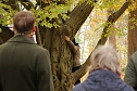 Artistik zwischen Baum und Borke - im Park Hohenrode lud man zu einem k&uuml;nsterlischen Waldspaziergang (Foto: agl)