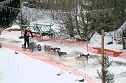 Hundeschlittenrennen im Harz (Foto: Peter Blei)
