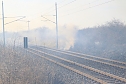 Feuer am Bahndamm bei Wollersleben und Wolkramshausen (Foto: S. Dietzel)