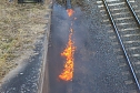 Feuer am Bahndamm bei Wollersleben und Wolkramshausen (Foto: S. Dietzel)