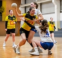 Durchwachsenes Handballwochenende für die Nordhäuser Mannschaften (Foto: Christoph Keil, Matthias Schröter, privat) Durchwachsenes Handballwochenende für die Nordhäuser Mannschaften (Foto: Christoph Keil, Matthias Schröter, privat)