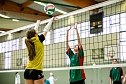 Humboldts Volleyballerinnen triumphierten im Schulamtsfinale (Foto: Christoph Keil)