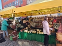 Fr&uuml;hlingsmarkt auf dem Rathausplatz in Nordhausen (Foto: Peter Blei)