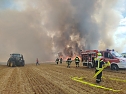 Feldbrand (Foto: Silvio Dietzel)