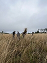 Mit dem Spaten f&uuml;r den Wald - die beiden neunten Klassen der Regelschule Niedersachswerfen halfen bei der Wiederaufforstung im Harz (Foto: Tanita Thelemann)