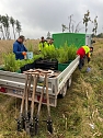 Mit dem Spaten f&uuml;r den Wald - die beiden neunten Klassen der Regelschule Niedersachswerfen halfen bei der Wiederaufforstung im Harz (Foto: Tanita Thelemann)