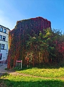 Herbststimmung in Nordhausen (Foto: P.Blei)