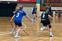 Handballdienst vom Wochenende (Foto: NSV) Handballdienst vom Wochenende (Foto: NSV)