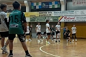 Handball am Wochenende (Foto: NSV)