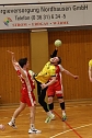 Handball-Ergebnisdienst (Foto: NSV)
