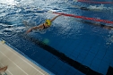 22. Stadtmeisterschaft des Schwimmvereins SVN '90 im Badehaus (Foto: agl) 22. Stadtmeisterschaft des Schwimmvereins SVN '90 im Badehaus (Foto: agl)