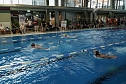 22. Stadtmeisterschaft des Schwimmvereins SVN '90 im Badehaus (Foto: agl) 22. Stadtmeisterschaft des Schwimmvereins SVN '90 im Badehaus (Foto: agl)