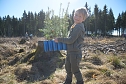 Bei der Baumpflanzaktion bei Rothes&uuml;tte halfen auch viele Familien mit.  (Foto: ssc)
