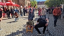 Arbeiterkampftag auf dem Nordh&auml;user Rathausplatz (Foto: agl)