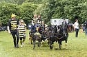 Die traditionelle W&uuml;lfinger&ouml;der Ponyschau kehrt im Juni zur&uuml;ck (Foto: PRFZV W&uuml;lfingerode)