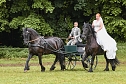 Die traditionelle W&uuml;lfinger&ouml;der Ponyschau kehrt im Juni zur&uuml;ck (Foto: PRFZV W&uuml;lfingerode)