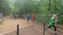 Im Gehege fand heute wieder der Kreiscrosslauf statt (Foto: agl)