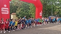 Im Gehege fand heute wieder der Kreiscrosslauf statt (Foto: agl)