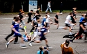 Eindr&uuml;cke vom Gehege-Crosslauf (Foto: Christoph Keil)