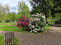 Impressionen vom Rhododendren-Fest in S&uuml;lzhayn. (Foto: Peter Blei)