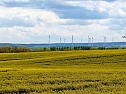 Der S&uuml;dharz ein gelbes Meer aus Raps.  (Foto: Peter Blei)