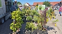 2. Bauernmarkt auf dem Scheunenhof in Sundhausen (Foto: nnz)