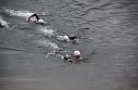 Triathlon 2010 (Foto: Christoph Keil)