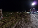 Tierischer Unfall (Foto: BFW Nordhausen) Tierischer Unfall (Foto: BFW Nordhausen)