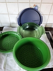 Tupper Dampfgarer für die Mikrowelle